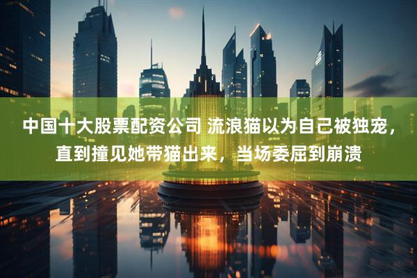 中国十大股票配资公司 流浪猫以为自己被独宠，直到撞见她带猫出来，当场委屈到崩溃
